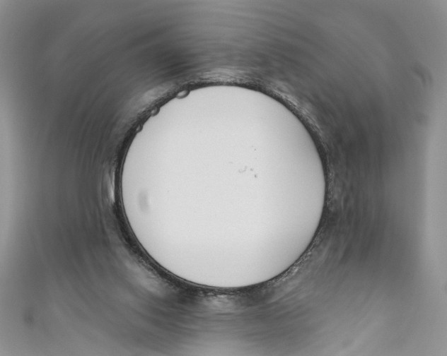 X0000110900062200907091424