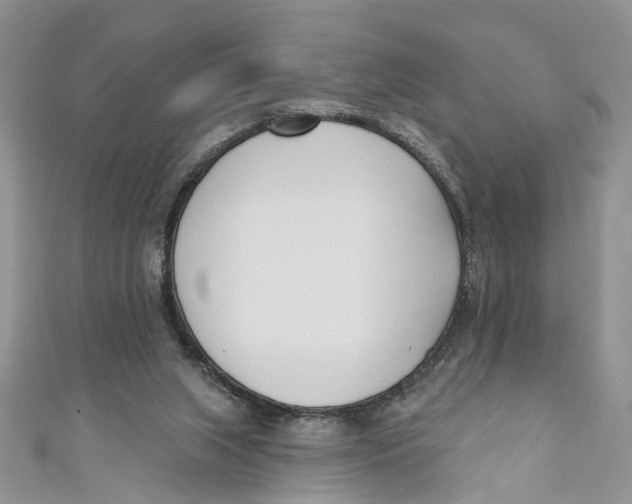 X0000110900063200907091424