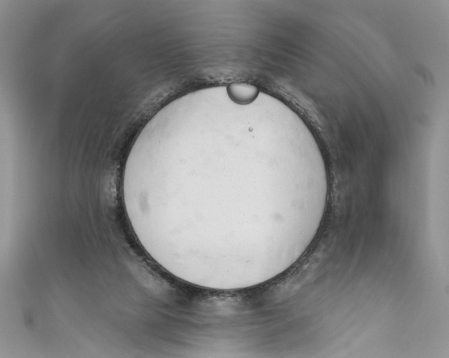 X0000110900065200907091424