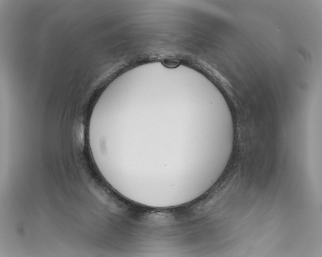 X0000110900067200907091424