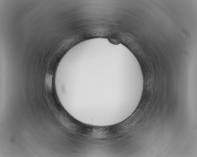 X0000110900070200907091424