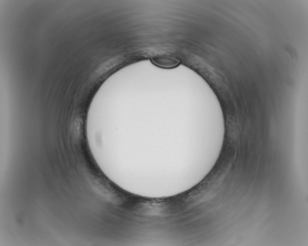 X0000110900071200907091424