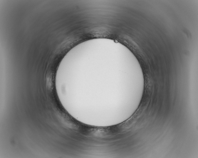 X0000110900074200907091424