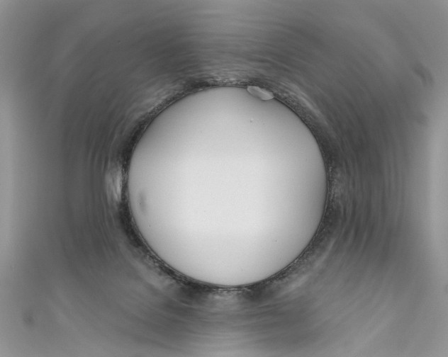 X0000110900076200907091424