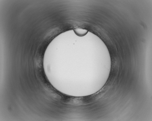 X0000110900078200907091425