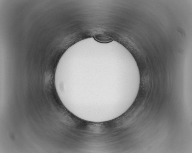 X0000110900079200907091425