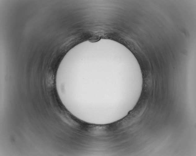 X0000110900081200907091425