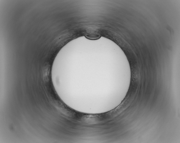 X0000110900082200907091425