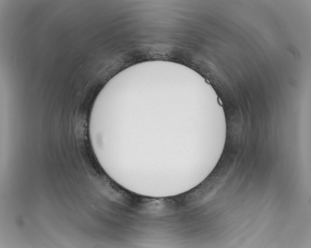 X0000110900083200907091425