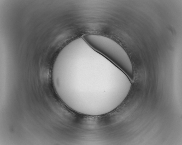 X0000110900084200907091425