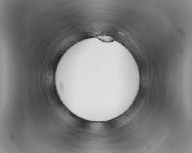 X0000110900085200907091425