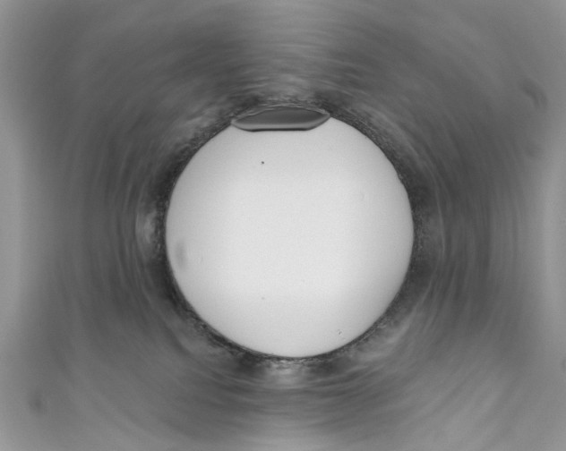 X0000110900088200907091425