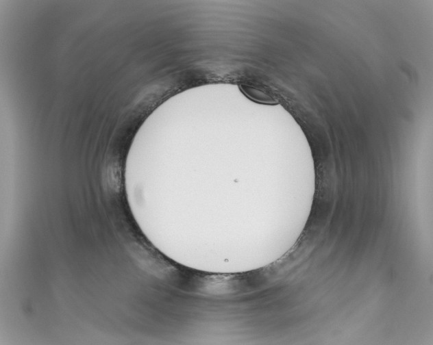 X0000110900090200907091425