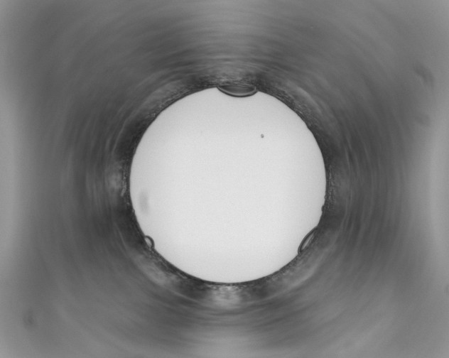 X0000110900091200907091425