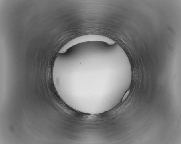 X0000110900092200907091425