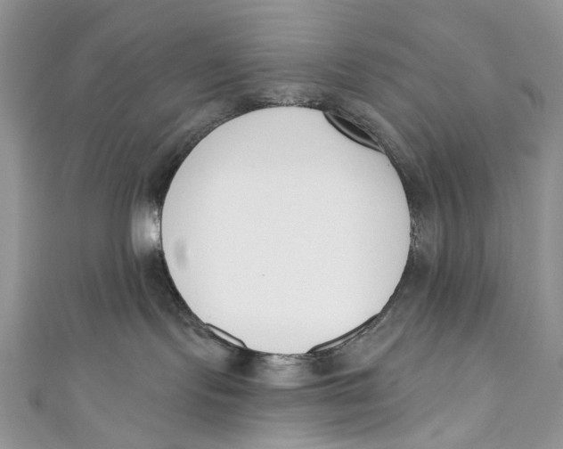 X0000110900095200907091425