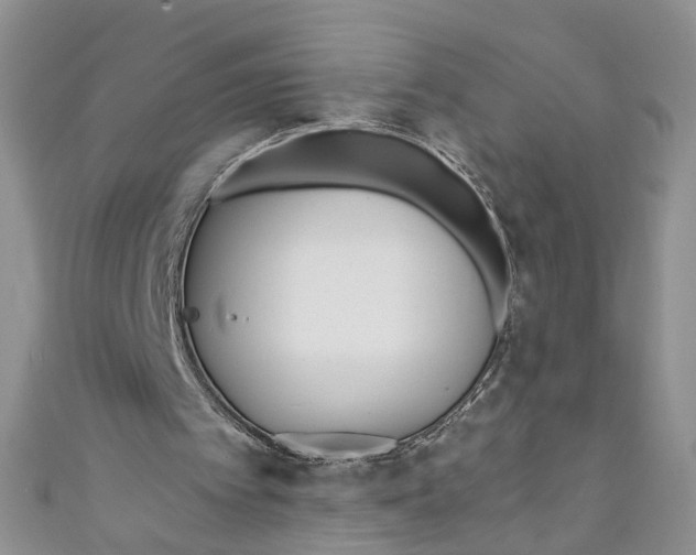 X0000110900097200907091424