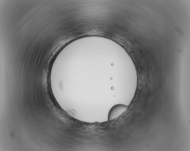 X0000110900098200907091424