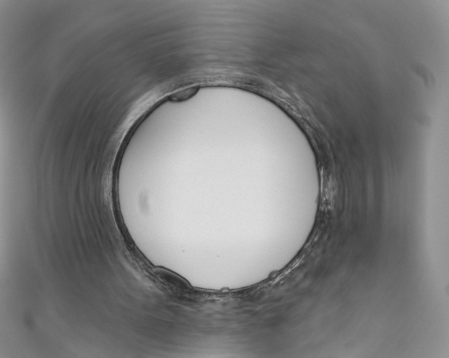 X0000110900099200907091424