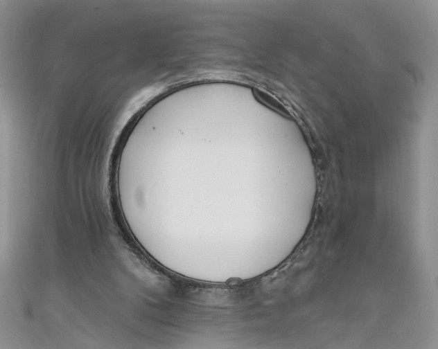 X0000110900104200907091424