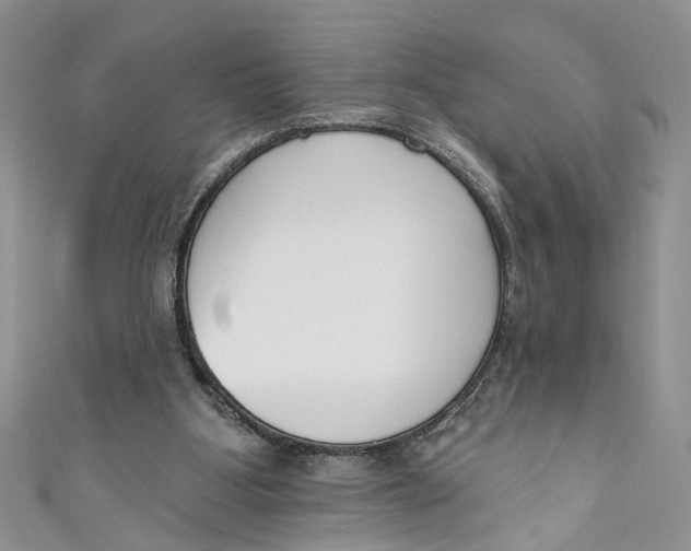 X0000110900107200907091424