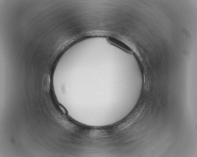 X0000110900109200907091424