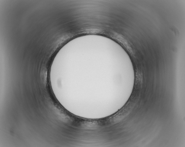 X0000110900110200907091424