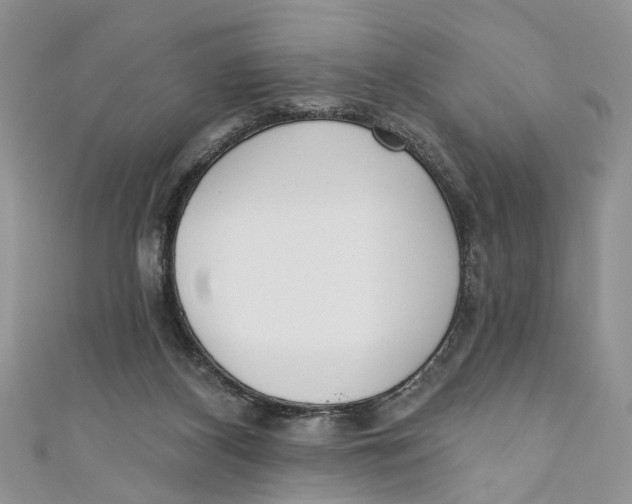 X0000110900116200907091424