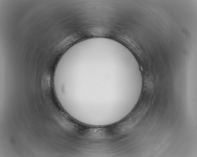 X0000110900117200907091424