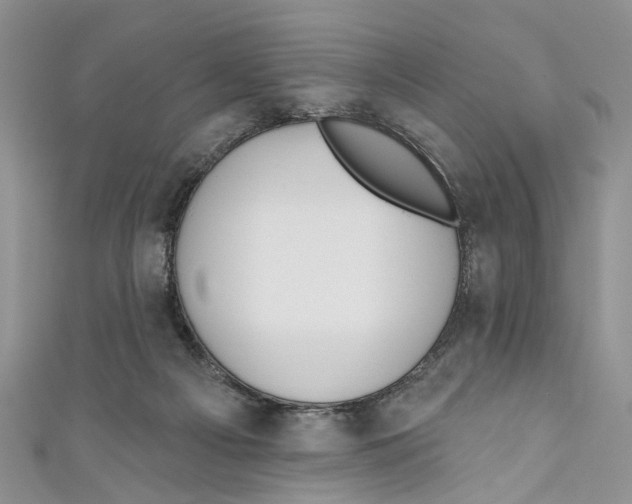 X0000110900121200907091424