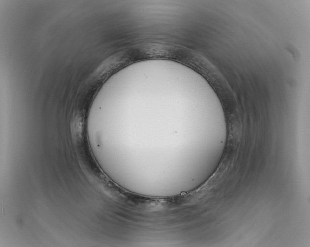 X0000110900124200907091424