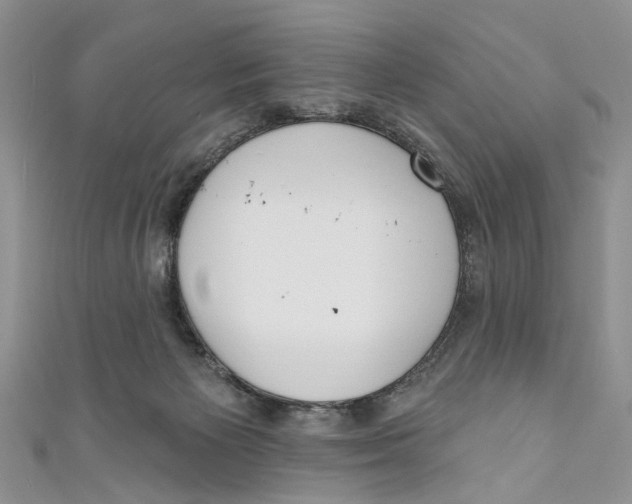 X0000110900125200907091424