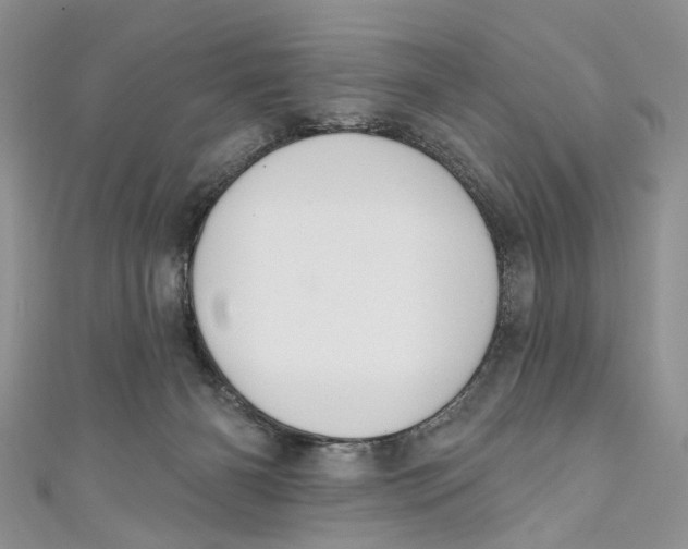 X0000110900126200907091424