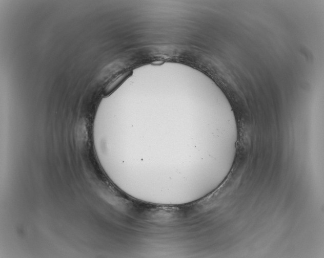 X0000110900128200907091424