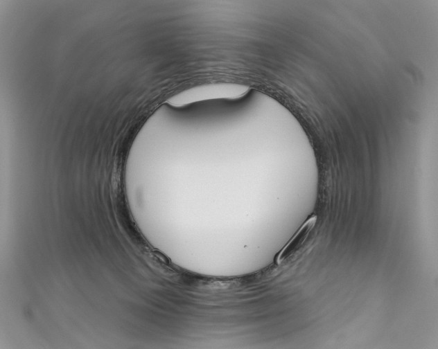 X0000110900129200907091424