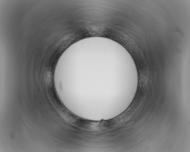 X0000110900130200907091424