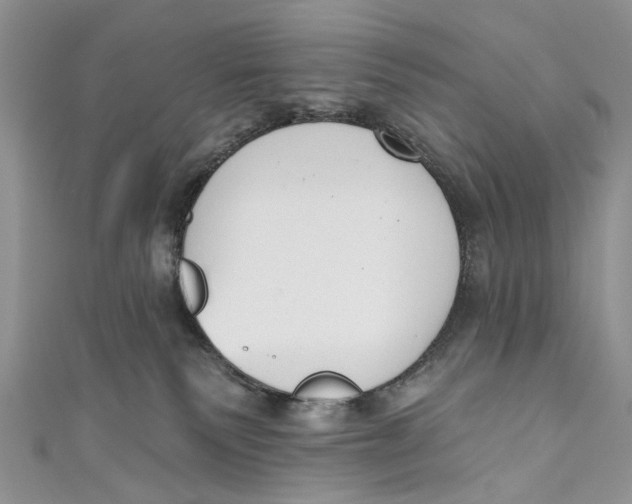 X0000110900135200907091424