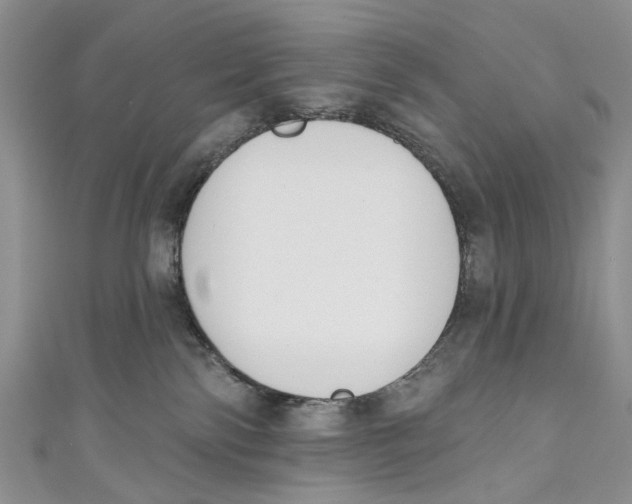 X0000110900138200907091424