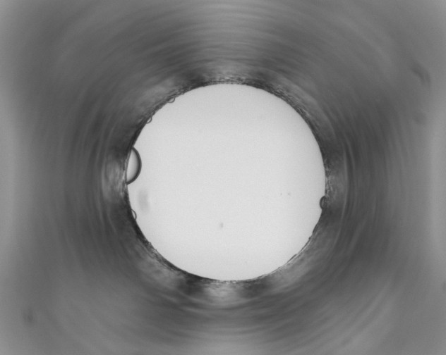 X0000110900142200907091424