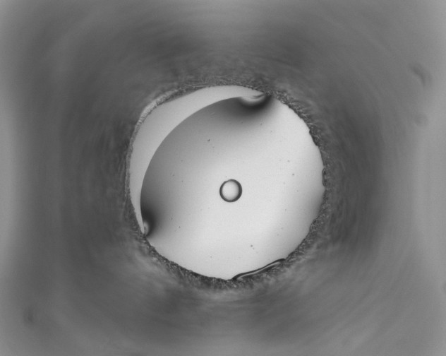 X0000110900144200907091424