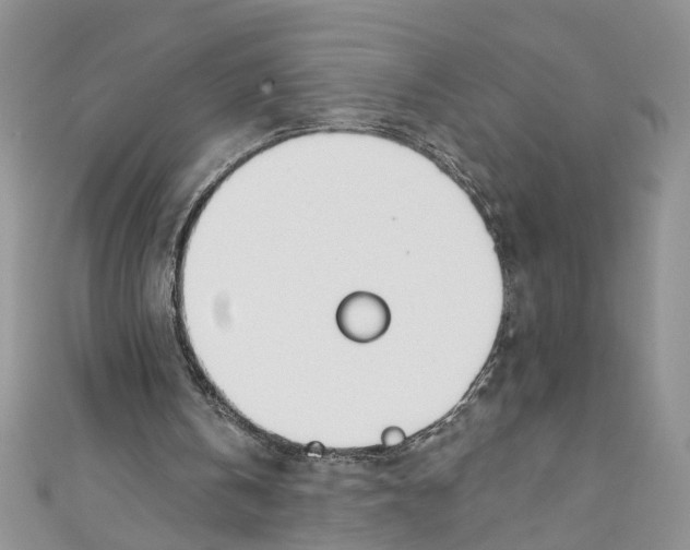 X0000110900146200907091423