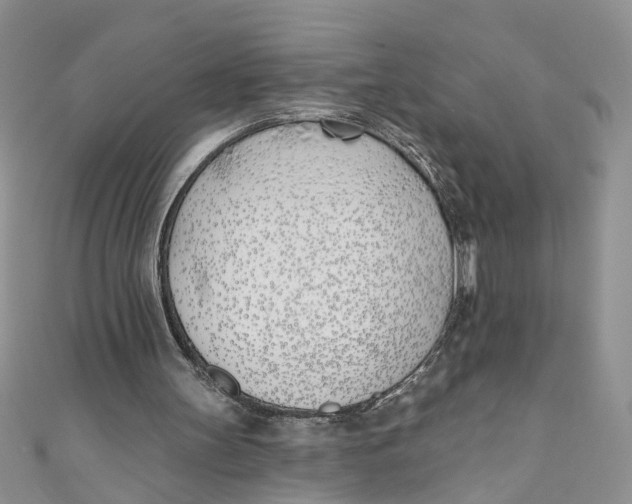 X0000110900147200907091423