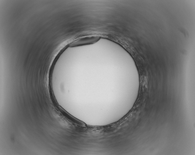 X0000110900148200907091423