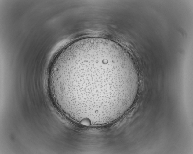 X0000110900149200907091423