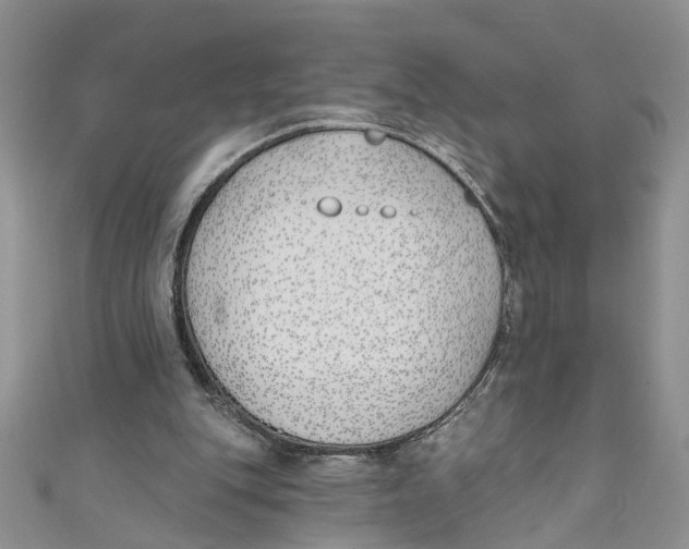 X0000110900151200907091423