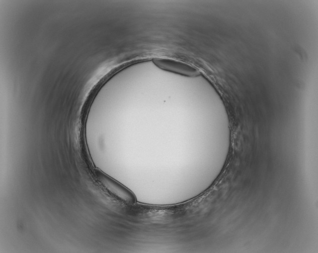 X0000110900152200907091423