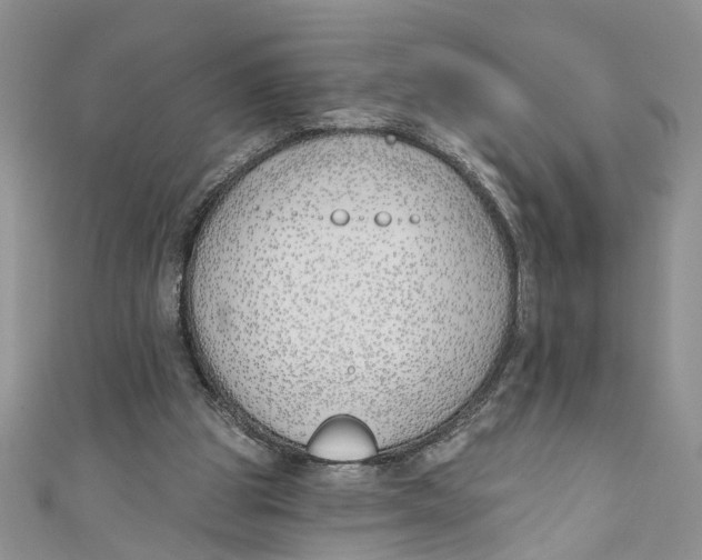 X0000110900153200907091423