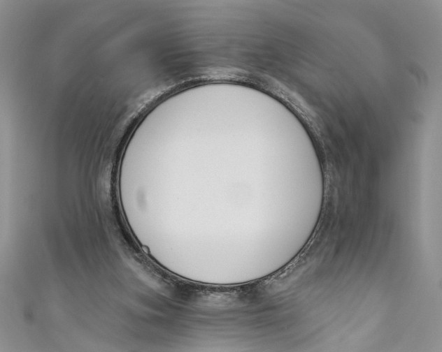 X0000110900155200907091423