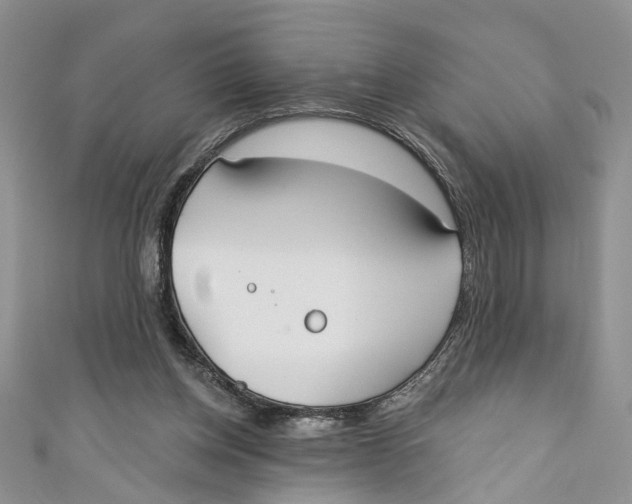 X0000110900158200907091423