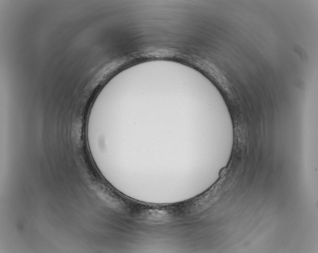 X0000110900159200907091423